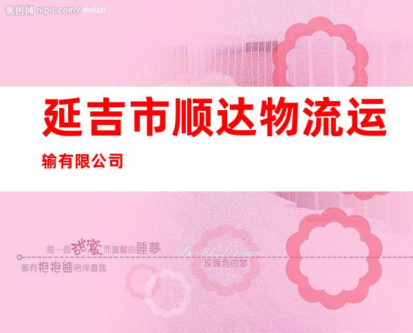 延吉市顺达物流运输有限公司